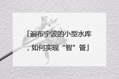 遍布宁波的小型水库，如何实现“智”管