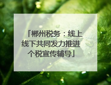 郴州税务：线上线下共同发力推进个税宣传辅导
