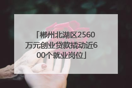 郴州北湖区2560万元创业贷款撬动近600个就业岗位