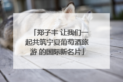 郑子丰 让我们一起共筑宁夏葡萄酒旅游 的国际新名片