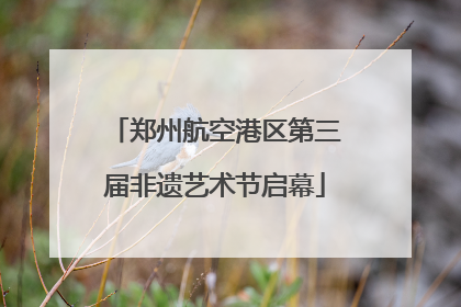 郑州航空港区第三届非遗艺术节启幕