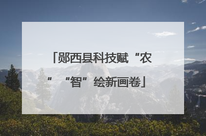 郧西县科技赋“农”“智”绘新画卷