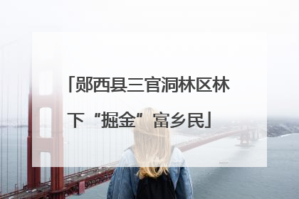 郧西县三官洞林区林下“掘金”富乡民