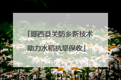 郧西县关防乡新技术助力水稻抗旱保收