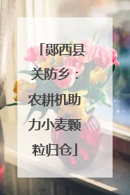 郧西县关防乡：农耕机助力小麦颗粒归仓