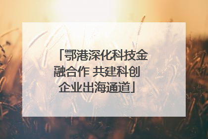 鄂港深化科技金融合作 共建科创企业出海通道