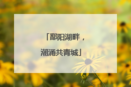 鄱阳湖畔，潮涌共青城