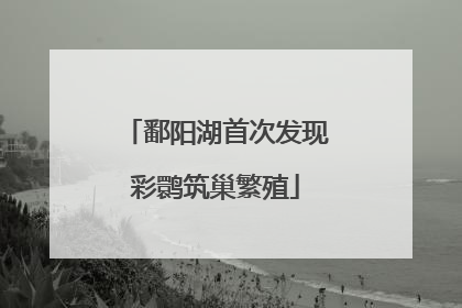 鄱阳湖首次发现彩鹮筑巢繁殖