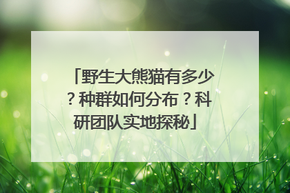 野生大熊猫有多少？种群如何分布？科研团队实地探秘
