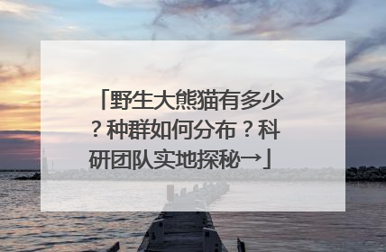 野生大熊猫有多少？种群如何分布？科研团队实地探秘→