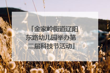 金家岭街道辽阳东路幼儿园举办第二届科技节活动