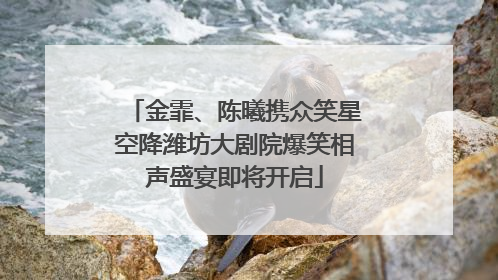 金霏、陈曦携众笑星空降潍坊大剧院爆笑相声盛宴即将开启
