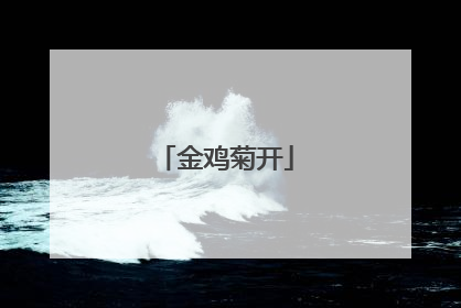 金鸡菊开