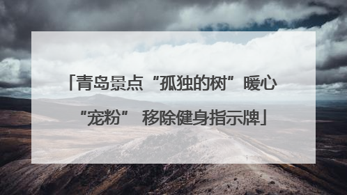 青岛景点“孤独的树”暖心“宠粉” 移除健身指示牌