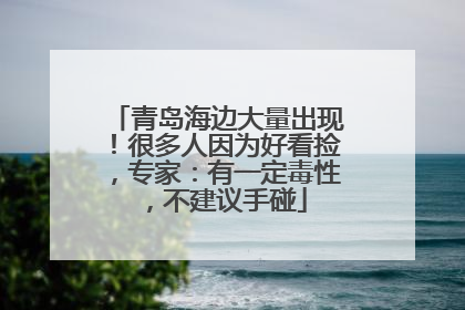 青岛海边大量出现！很多人因为好看捡，专家：有一定毒性，不建议手碰