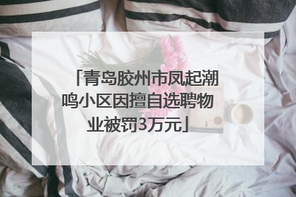 青岛胶州市凤起潮鸣小区因擅自选聘物业被罚3万元