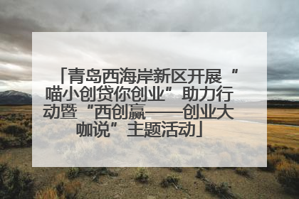 青岛西海岸新区开展“喵小创贷你创业”助力行动暨“西创赢——创业大咖说”主题活动