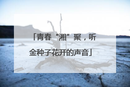 青春“湘”聚，听金种子花开的声音