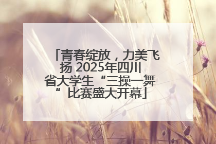 青春绽放，力美飞扬 2025年四川省大学生“三操一舞”比赛盛大开幕