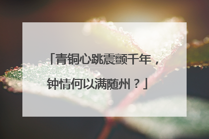青铜心跳震颤千年，钟情何以满随州？