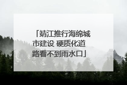 靖江推行海绵城市建设 硬质化道路看不到雨水口