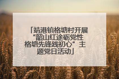 靖港镇格塘村开展“韶山红途砺党性 格塘先锋践初心”主题党日活动