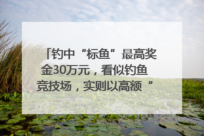 钓中“标鱼”最高奖金30万元，看似钓鱼竞技场，实则以高额“回报”作“饵”……｜今晚九点半
