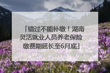 错过不能补缴！湖南灵活就业人员养老保险缴费期延长至6月底