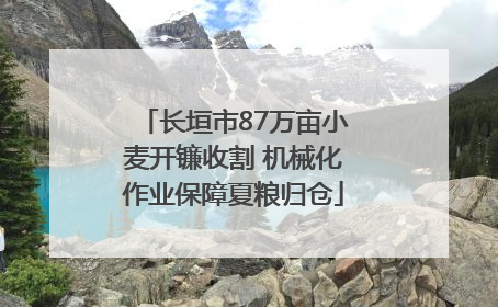 长垣市87万亩小麦开镰收割 机械化作业保障夏粮归仓