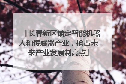 长春新区锚定智能机器人和传感器产业，抢占未来产业发展制高点