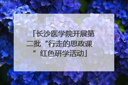 长沙医学院开展第二批“行走的思政课”红色研学活动