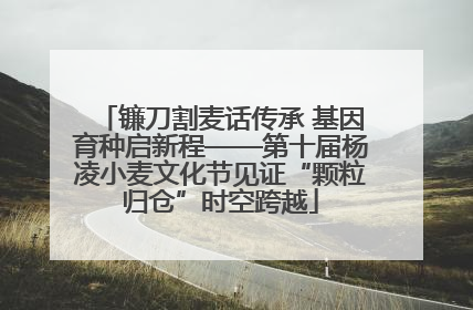 镰刀割麦话传承 基因育种启新程——第十届杨凌小麦文化节见证“颗粒归仓”时空跨越