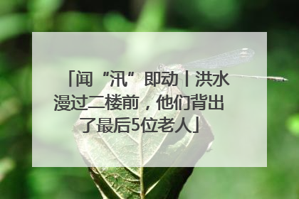 闻“汛”即动丨洪水漫过二楼前，他们背出了最后5位老人