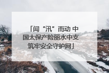 闻“汛”而动 中国太保产险丽水中支筑牢安全守护网