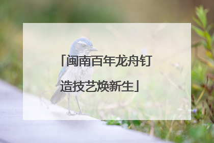闽南百年龙舟钉造技艺焕新生