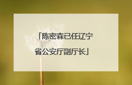 陈密森已任辽宁省公安厅副厅长