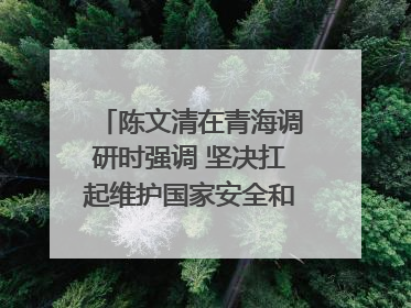 陈文清在青海调研时强调 坚决扛起维护国家安全和社会稳定职责使命 为谱写中国式现代化青海篇章贡献政法力量