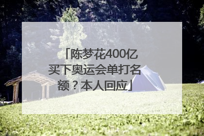 陈梦花400亿买下奥运会单打名额？本人回应