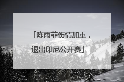 陈雨菲伤情加重，退出印尼公开赛