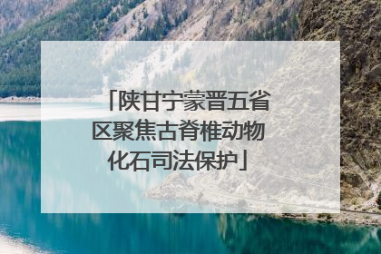 陕甘宁蒙晋五省区聚焦古脊椎动物化石司法保护