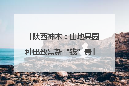 陕西神木：山地果园种出致富新“钱”景