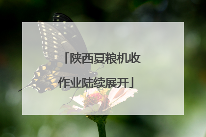 陕西夏粮机收作业陆续展开
