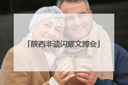 陕西非遗闪耀文博会