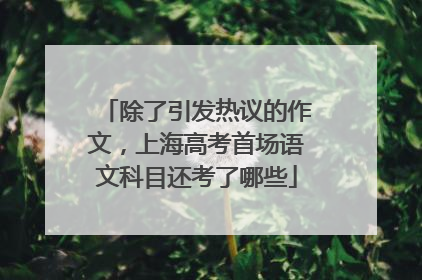 除了引发热议的作文，上海高考首场语文科目还考了哪些