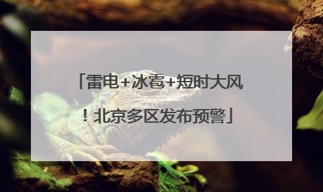 雷电+冰雹+短时大风！北京多区发布预警