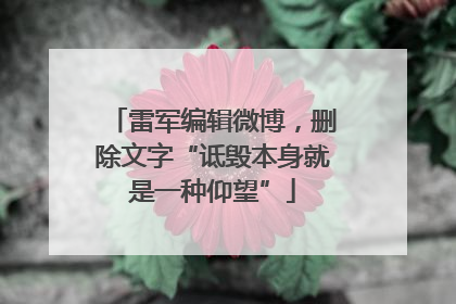 雷军编辑微博，删除文字“诋毁本身就是一种仰望”