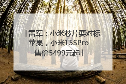 雷军：小米芯片要对标苹果，小米15SPro售价5499元起
