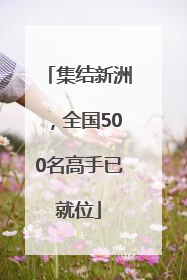 集结新洲，全国500名高手已就位