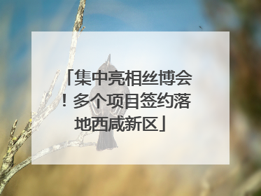 集中亮相丝博会！多个项目签约落地西咸新区