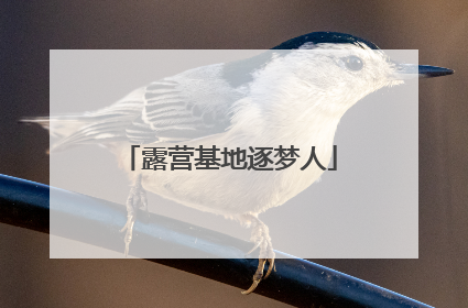 露营基地逐梦人
